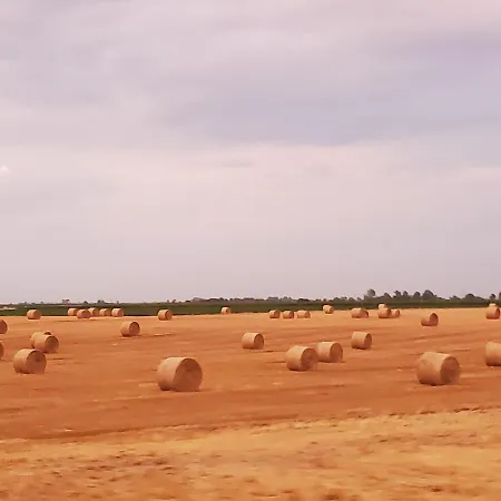 Ferienhaus Duna House Duna Haz Tass