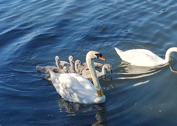 Duna House Duna Haz Casa vacanze